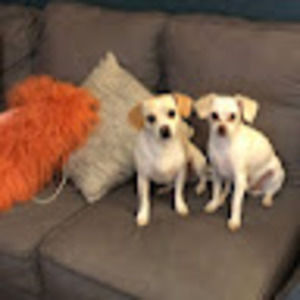 Meet your Posher, Emma